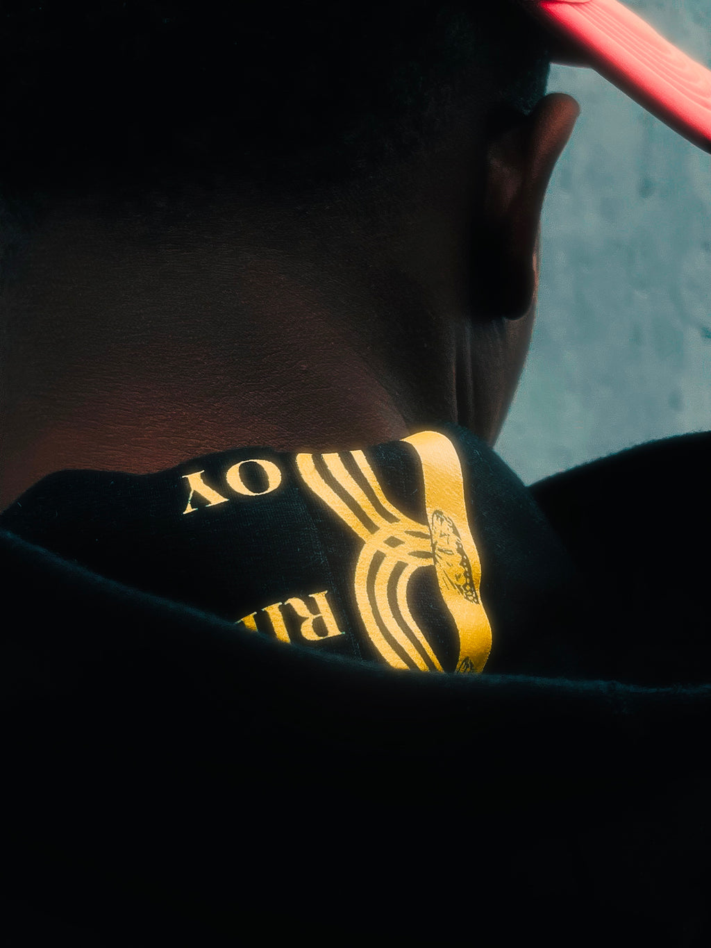 NGWP Hoodie